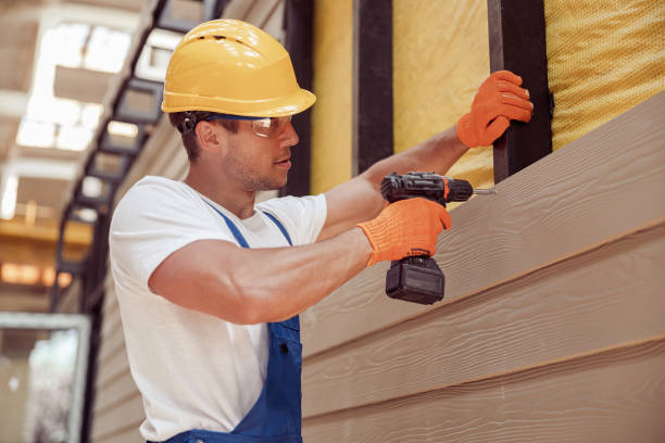 Best Custom Trim and Detailing for Siding  in Dexter, MI